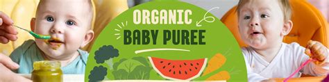 Organic Baby Purees – KidsCity.in