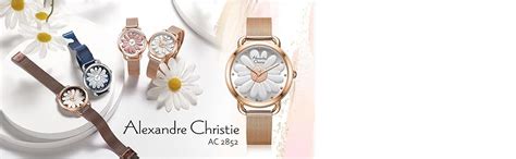 Buy Alexandre Christie AC 2852 LHB Classic Ladies Analog Watch with 3D ...