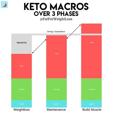 The Complete Beginners Guide To The Keto Diet In Australia