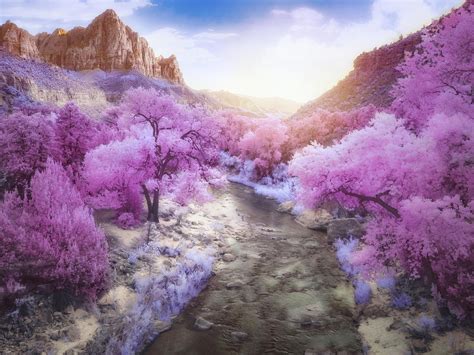 Infrared 的图像结果