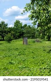 Primitive Toilet Using 的图像结果