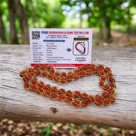 Rudraksha Mala with Gold Wire Design | Lab Certified Beads | Timeshopee