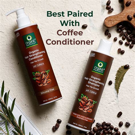 Everyday Shampoo: Coffee & Walnuts | For Dry & Frizzy Hair | Anti-hair