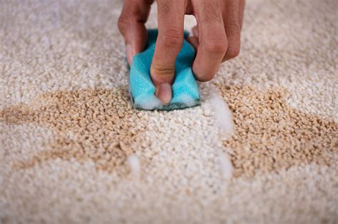 How To Remove Coffee Stains From Carpet: Simple Steps