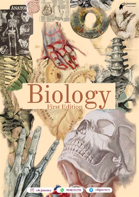 Biology 101: Cell Structure and Function Overview - Studocu