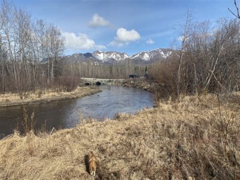 Alaska fish passage project opens 70 miles of salmon habitat | U.S ...