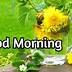 Image result for Good Morning Happy Friday Snoopy GIF