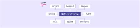 Image result for SQL Server Numeric Data Type