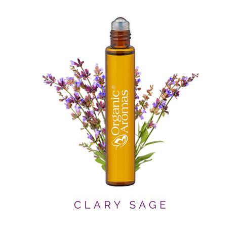 Clary Sage Roll-on Essential Oil - Organic Aromas