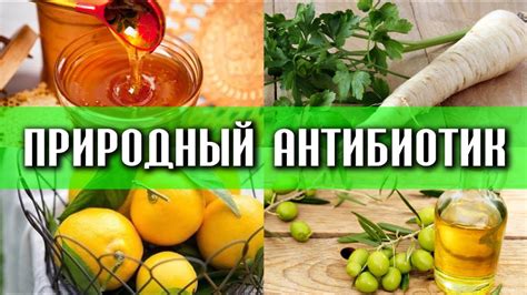 Это МОЩНЕЙШЕЕ СРЕДСТВО ИЗБАВИТ ОТ ВСЕХ ИНФЕКЦИЙ МОЧЕВОГО ПУЗЫРЯ И ПОЧЕК ...