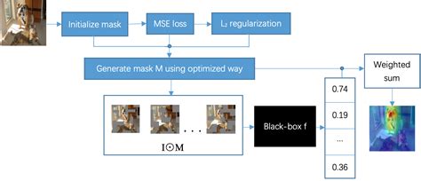 OISE: Optimized Input Sampling Explanation with a Saliency Map Based on ...