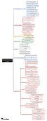Mind Map: Vestibular Physiology and Assessment of Vestibular Function ...