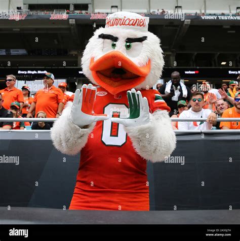 Miami Hurricanes Ibis Logo