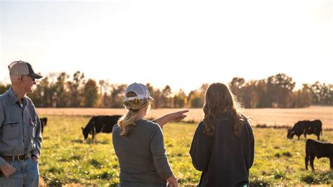 Updated Nebraska Land Values, Cash Rents Published in 2025 Nebraska ...