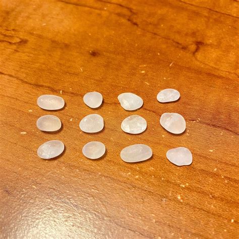 Cape May Diamond Quartz Tiny Beach Stone, Beach Found Small Craft Stone ...