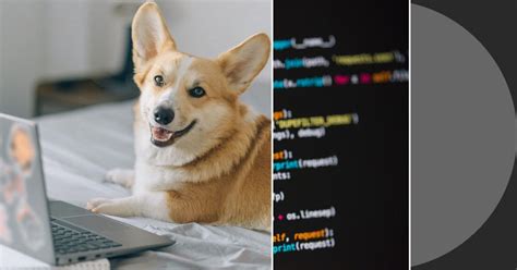 Image result for Using Puthon in Windows