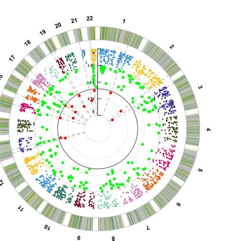 Gwas Microarray 的图像结果