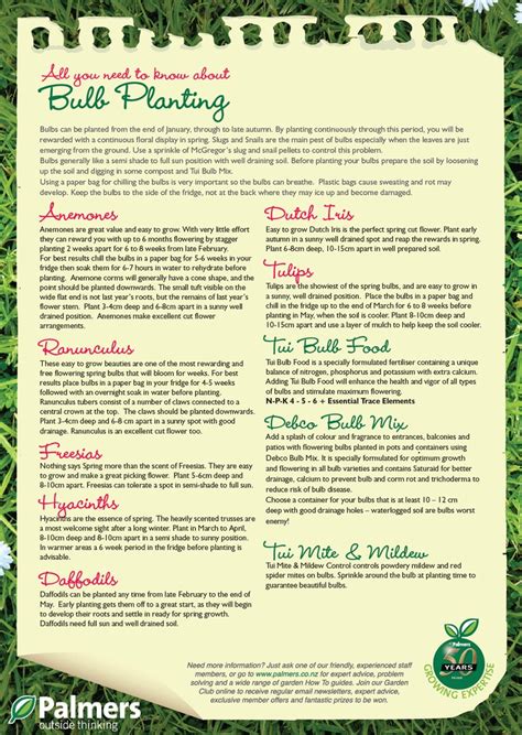 Spring Bulb Planting Guide 的图像结果