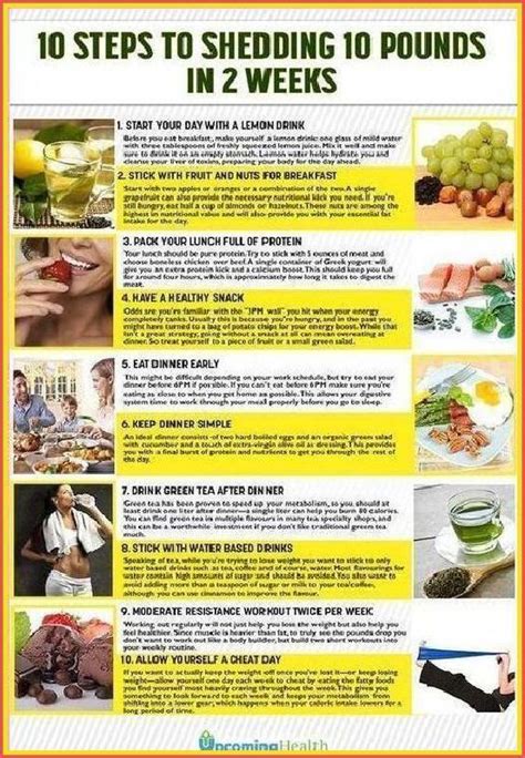 Image result for Metaboost Connection Exercises