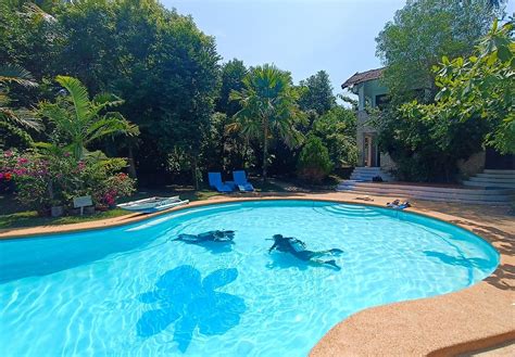 CEBU DIVE GUIDE (2025) All You Need to Know BEFORE You Go (with Photos ...