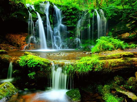 Image result for Custom Windows 10 Background