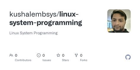 Linux System Programming 的图像结果