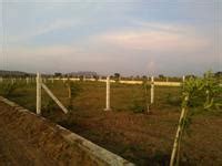 My Fortune - Hinjewadi, Pune - Residential Plot / Land Project ...