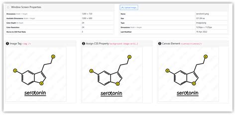 Image result for Display Image through JavaScript