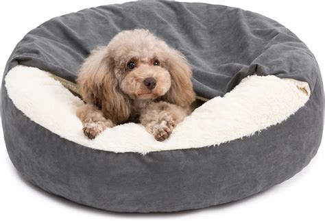 Amazon.com : WELLYELO 23.5" Medium Dog Bed Cat Bed with Attached ...