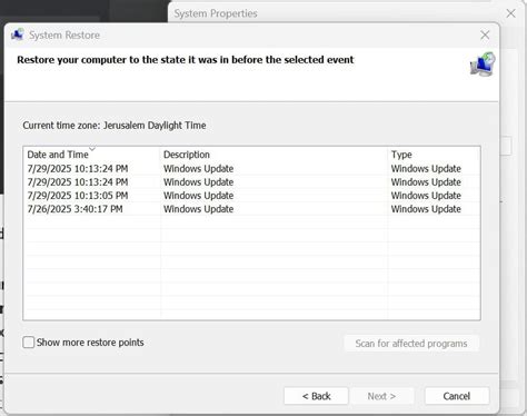 View Restore Points 的图像结果