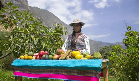 Image result for Colca Peru