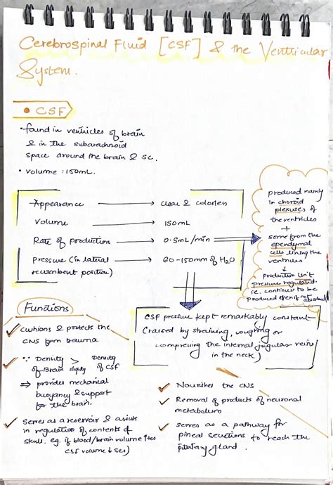 CSF Ventricular System 的图像结果