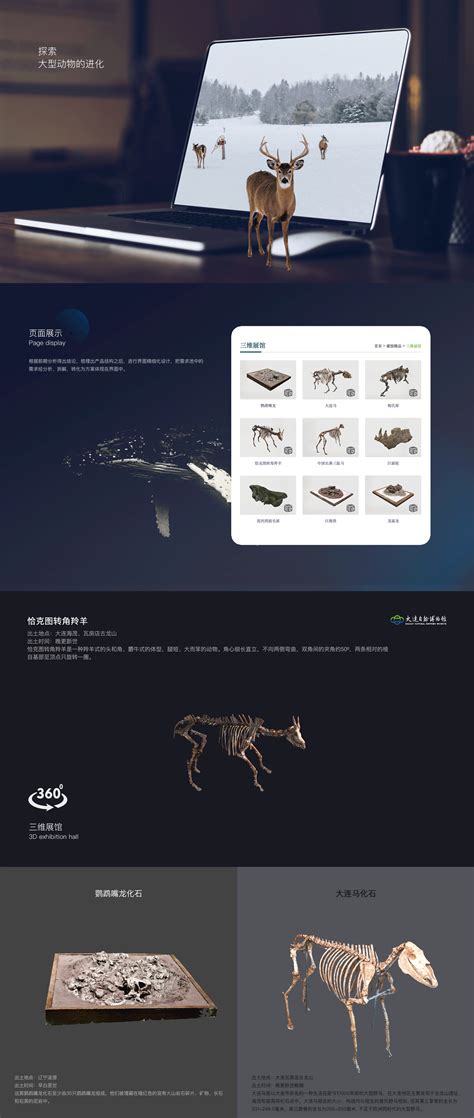 博物馆vr 的图像结果