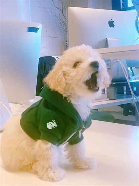 Image result for TaskRabbit Jobs