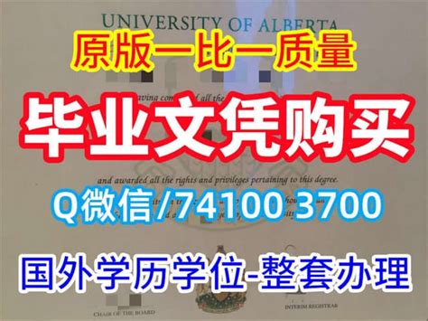 BCA Degree 的图像结果