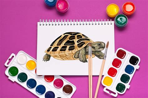 Image result for How to Draw a Turtle Step by Step Easy