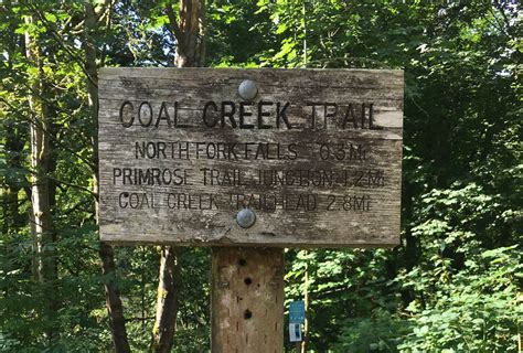 Frontcountry Trail Run - Coal Creek Trail — The Mountaineers