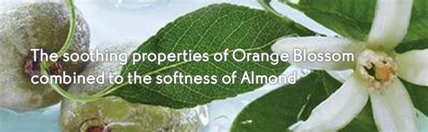 Yves Rocher Relaxing Body Lotion, Almond Orange Blossom, 200ml : Amazon ...