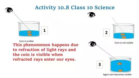 Image result for Class 8 Lesson 10 Science