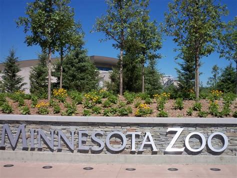 Great zoo, animals are amazing - Reviews, Photos - Minnesota Zoo ...