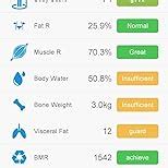 Lenovo Smart Scale : Amazon.in: Health & Personal Care