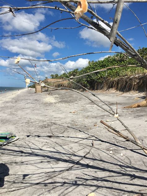 Image result for Spring Break Florida Beach