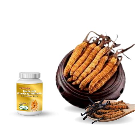 Buy Truly Original Keeda Jadi Capsule | Cordyceps Militaris Capsule ...