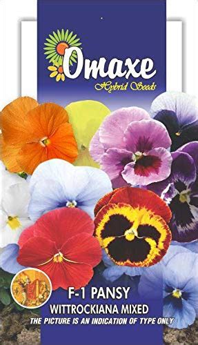 Pansy Wittrockiana Mixed Flower Seeds Pack of 2 Kitchen Garden Packet ...