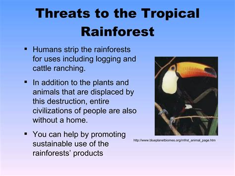 Biome presentation | PPT | Gardening | Home & Garden