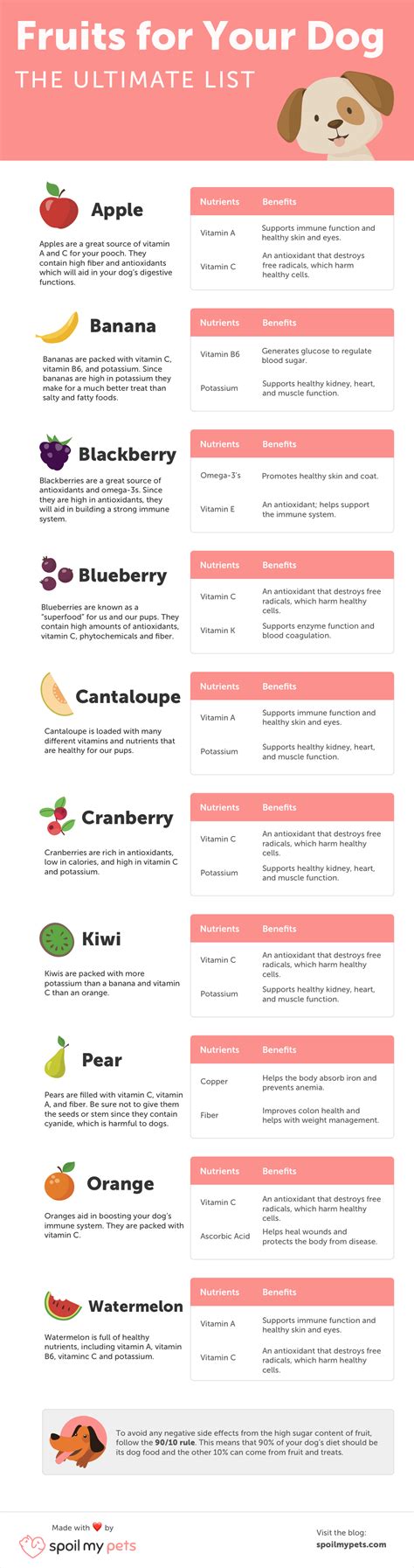 Printable List Of Fruits And Vegetables Dogs Can Eat at Bryan Hanes blog