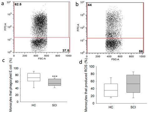 IJMS | Special Issue : Inflammation in Health and Disease: New Insights ...