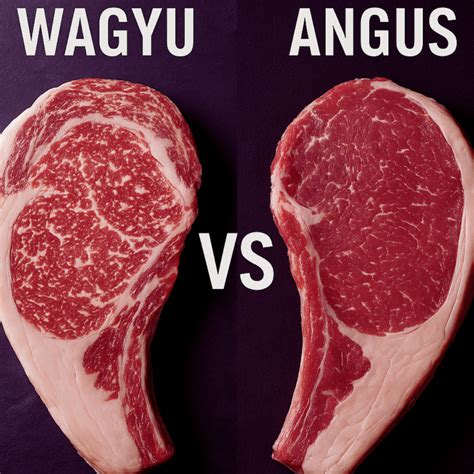 Angus Beef vs. Wagyu Beef: A Comprehensive Comparison - Clover Meadows Beef