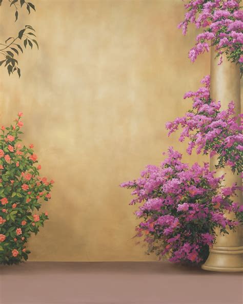 Image result for Back Screen Setup Studio