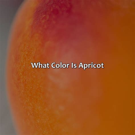 What Color Is Apricot - colorscombo.com